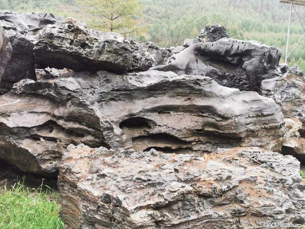 风景石、假山石大量有货，有需要的欢迎联系 - 新手上路 - 安阳生活社区 - 安阳28生活网 ay.28life.net