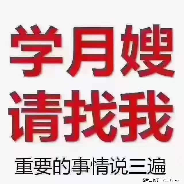 为什么要学习月嫂，育婴师？ - 其他广告 - 广告专区 - 安阳分类信息 - 安阳28生活网 ay.28life.net