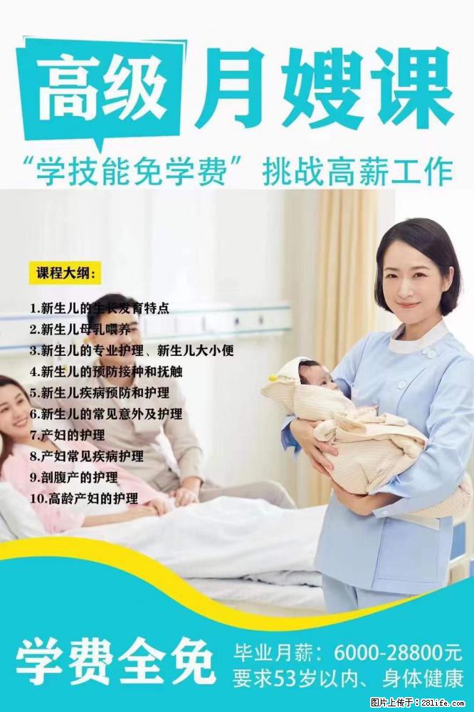 为什么要学习月嫂，育婴师？ - 其他广告 - 广告专区 - 安阳分类信息 - 安阳28生活网 ay.28life.net