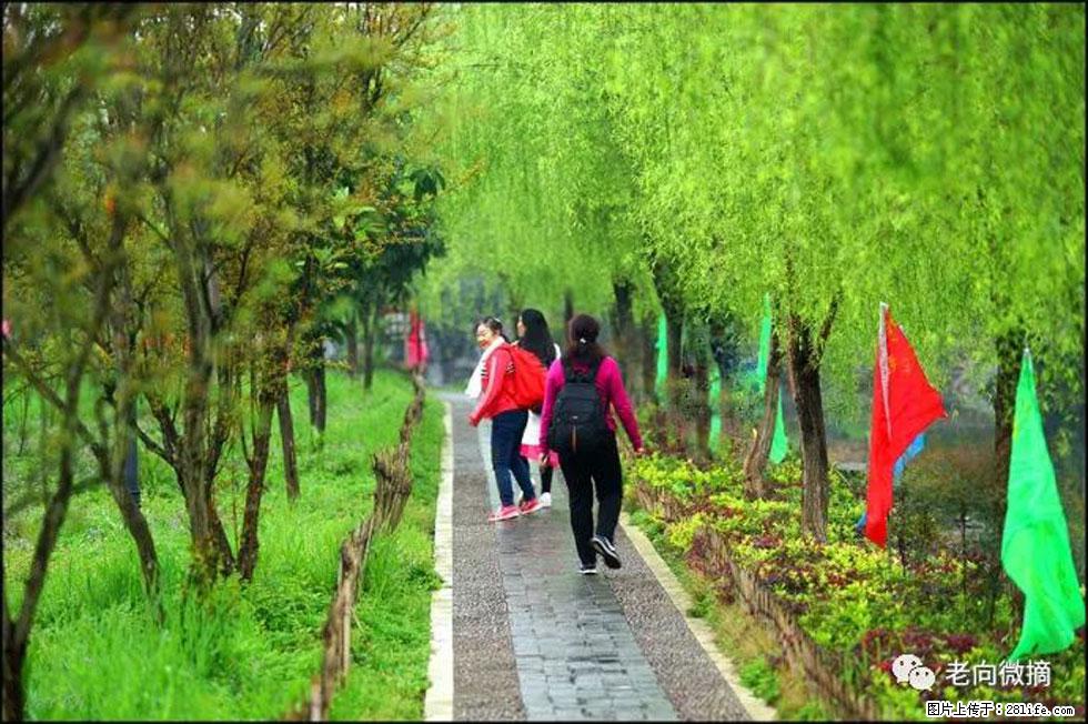 【春天，广西桂林灌阳县向您发出邀请！】江口老街又逢春 - 游山玩水 - 安阳生活社区 - 安阳28生活网 ay.28life.net