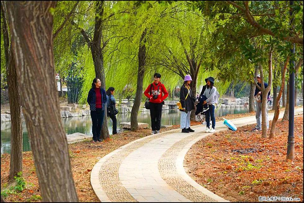 【春天，广西桂林灌阳县向您发出邀请！】江口老街又逢春 - 游山玩水 - 安阳生活社区 - 安阳28生活网 ay.28life.net