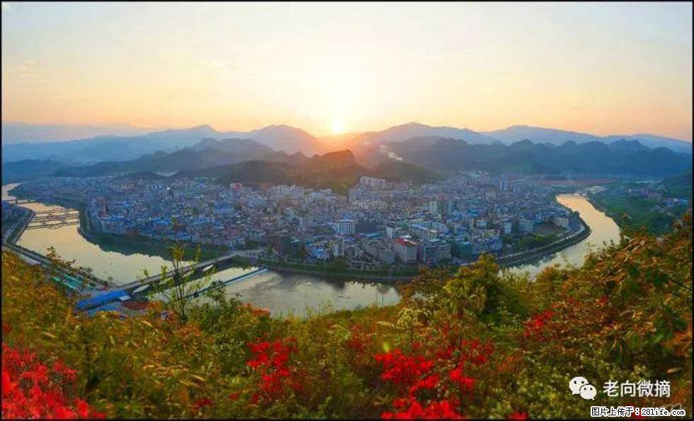 【春天，广西桂林灌阳县向您发出邀请！】登麒麟山，相约映山红 - 游山玩水 - 安阳生活社区 - 安阳28生活网 ay.28life.net