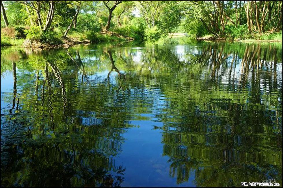 【春天，广西桂林灌阳县向您发出邀请！】熊家寨湿地公园 - 游山玩水 - 安阳生活社区 - 安阳28生活网 ay.28life.net
