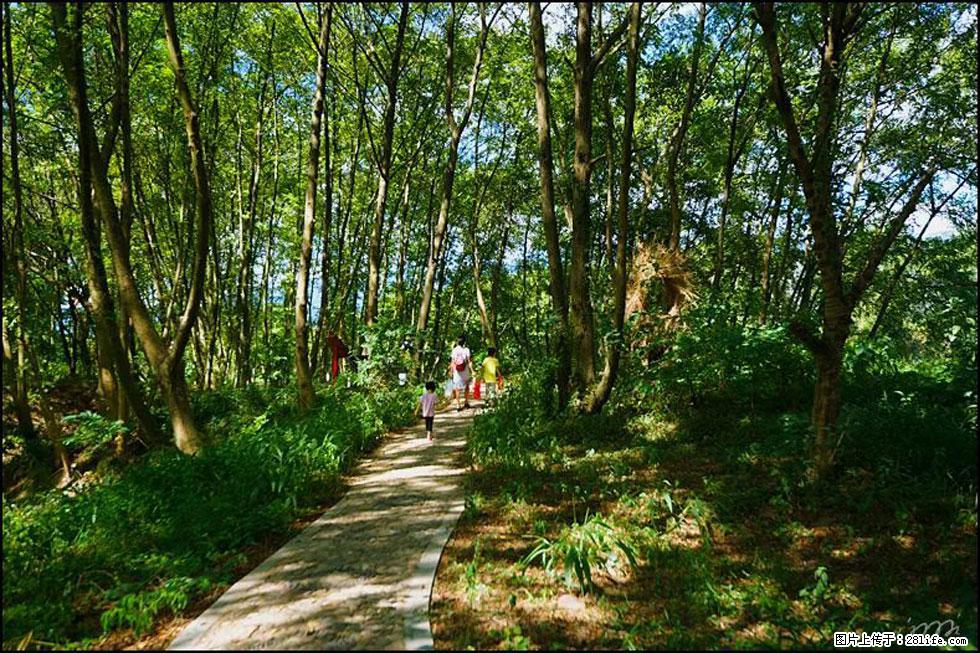 【春天，广西桂林灌阳县向您发出邀请！】熊家寨湿地公园 - 游山玩水 - 安阳生活社区 - 安阳28生活网 ay.28life.net