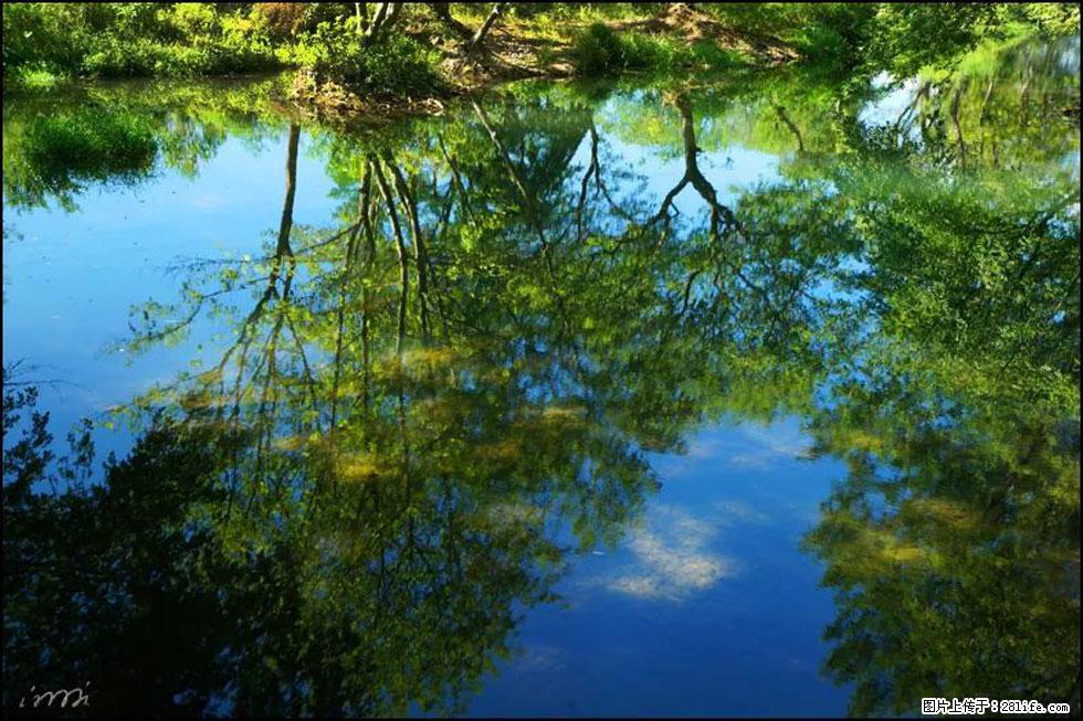 【春天，广西桂林灌阳县向您发出邀请！】熊家寨湿地公园 - 游山玩水 - 安阳生活社区 - 安阳28生活网 ay.28life.net