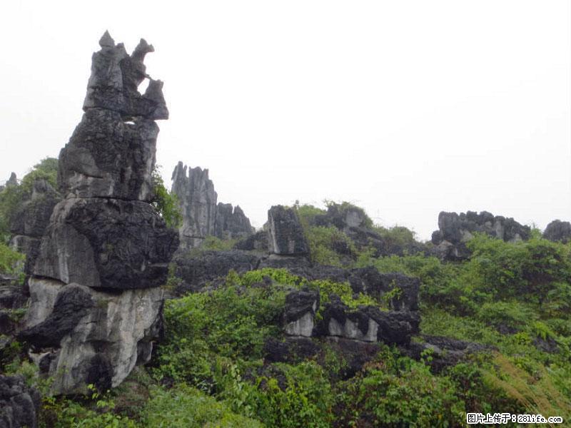 桂林旅游名城景点：灌阳文市石林 - 游山玩水 - 安阳生活社区 - 安阳28生活网 ay.28life.net
