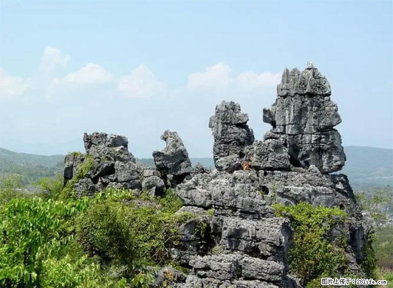 桂林旅游名城景点：灌阳文市石林 - 游山玩水 - 安阳生活社区 - 安阳28生活网 ay.28life.net