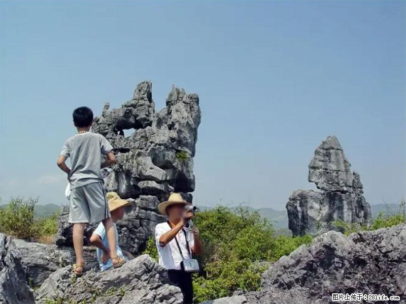 桂林旅游名城景点：灌阳文市石林 - 游山玩水 - 安阳生活社区 - 安阳28生活网 ay.28life.net