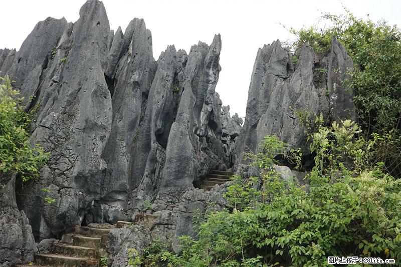 桂林旅游名城景点：灌阳文市石林 - 游山玩水 - 安阳生活社区 - 安阳28生活网 ay.28life.net