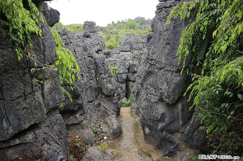 桂林旅游名城景点：灌阳文市石林 - 游山玩水 - 安阳生活社区 - 安阳28生活网 ay.28life.net