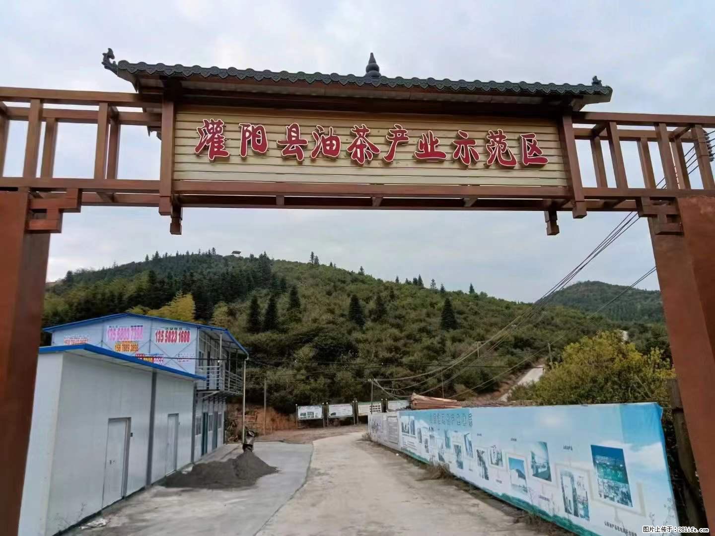 【灌阳县油茶产业示范区】一个有着充实的精神生活的人，对待身外之物自会有一种淡泊的态度 - 土特产 - 饮食特产 - 安阳分类信息 - 安阳28生活网 ay.28life.net
