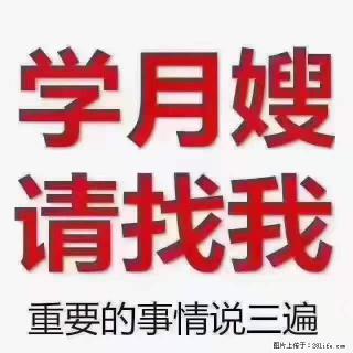 为什么要学习月嫂，育婴师？ - 安阳28生活网 ay.28life.net
