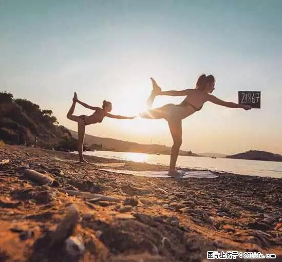 辞掉工作周游世界？现在他们在洗厕所…… - 游山玩水 - 安阳生活社区 - 安阳28生活网 ay.28life.net