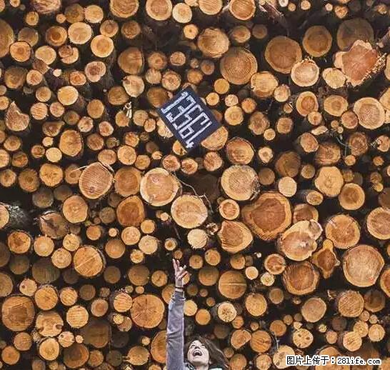 辞掉工作周游世界？现在他们在洗厕所…… - 游山玩水 - 安阳生活社区 - 安阳28生活网 ay.28life.net