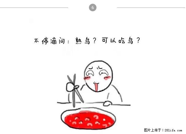 千万不要和这9种哈卵一起吃火锅！ - 美食天地 - 安阳生活社区 - 安阳28生活网 ay.28life.net