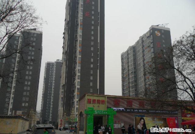 市区 三中附近(桂花园 105平米 带电梯 2楼)出租 - 房屋出租 - 房屋租售 - 安阳分类信息 - 安阳28生活网 ay.28life.net