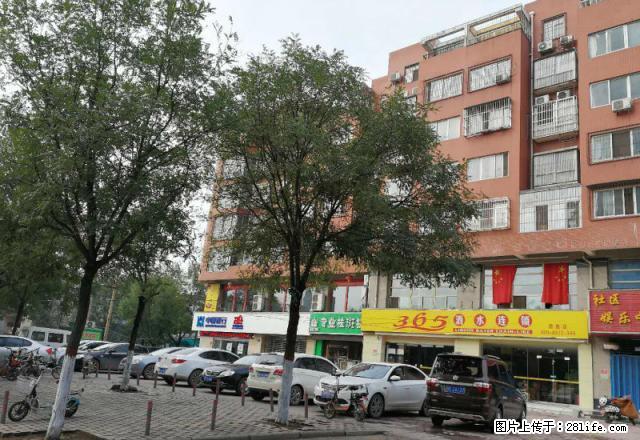 立交桥附近（张家庄小区 130平米 带3台空调 有暖气）出租 - 房屋出租 - 房屋租售 - 安阳分类信息 - 安阳28生活网 ay.28life.net