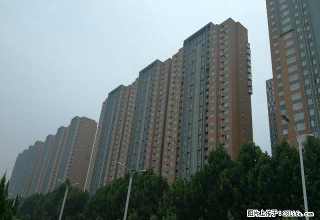 开发区 新师院南边（腾运世元 77平米 带电梯家电家具）出租 - 房屋出租 - 房屋租售 - 安阳分类信息 - 安阳28生活网 ay.28life.net