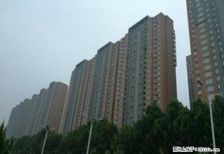 开发区 新师院南边（腾运世元 77平米 带电梯家电家具）出租 - 安阳28生活网 ay.28life.net