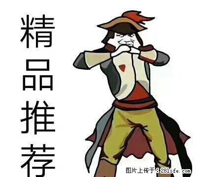 价低面积大 大四室 安彩二期电梯四楼 办公仓库均可 - 房屋出租 - 房屋租售 - 安阳分类信息 - 安阳28生活网 ay.28life.net