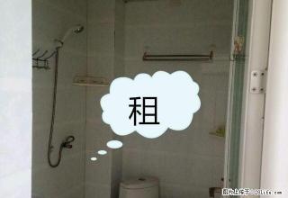 整租 德隆街安馨园一期 1室1厅1卫 - 安阳28生活网 ay.28life.net