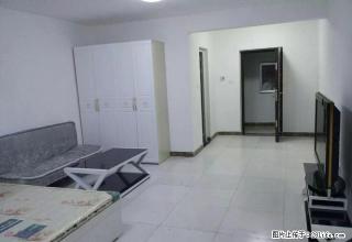 班芙春天 小公寓 62平 拎包入住 1200/月 - 安阳28生活网 ay.28life.net