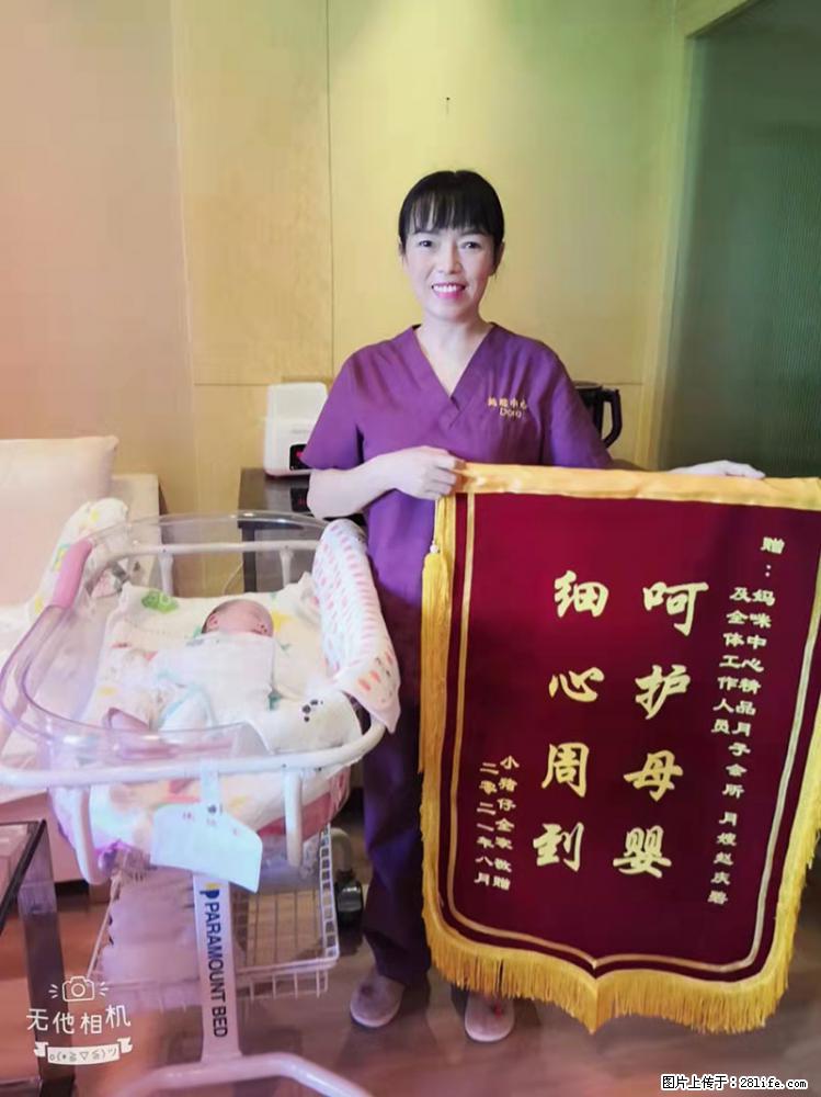 上海高端月子会所招新手月嫂，零基础带教，包吃住 - 职场交流 - 安阳生活社区 - 安阳28生活网 ay.28life.net