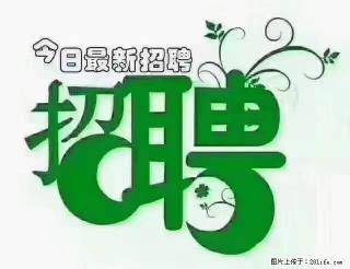 【招聘摄像师】待遇：试用期6000元/月，转正7000元/月+五险一金+餐补+节日福利+奖金 - 安阳28生活网 ay.28life.net