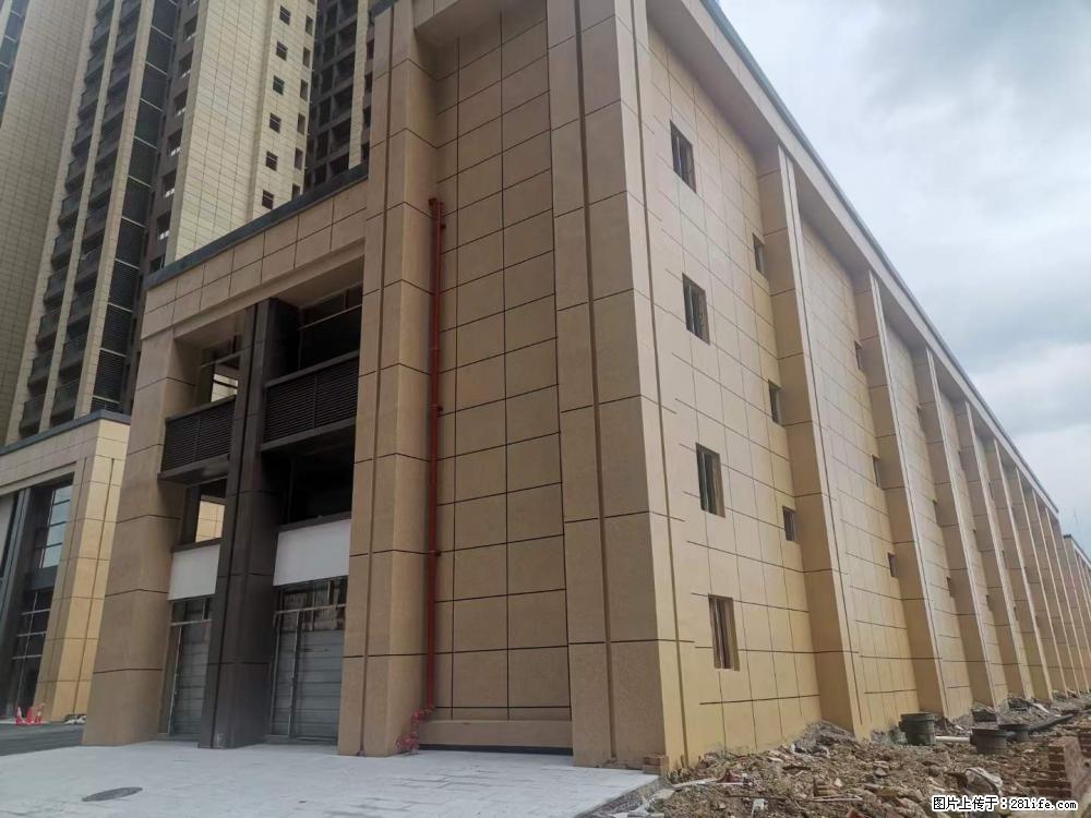 【广西三象建筑安装工程有限公司】外墙涂料工程 - 新手上路 - 安阳生活社区 - 安阳28生活网 ay.28life.net