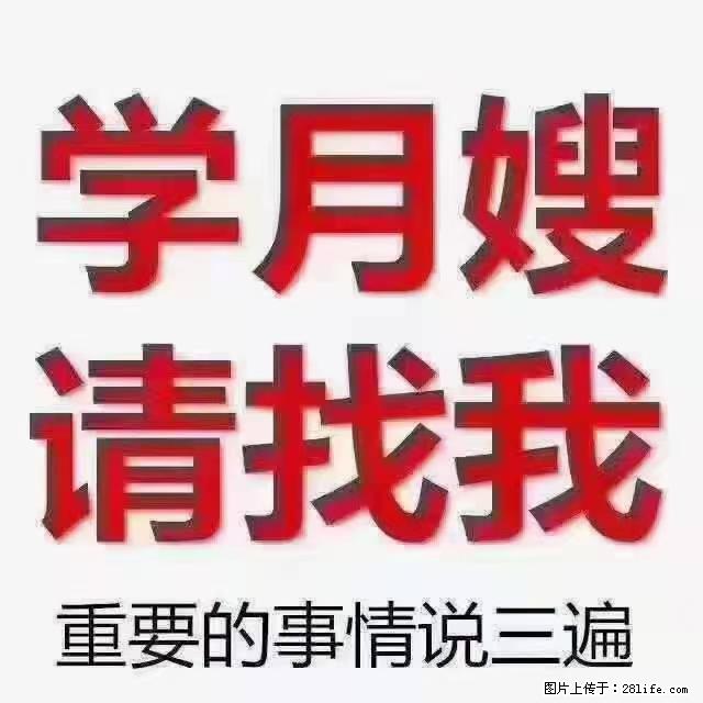 【招聘】月嫂，上海徐汇区 - 职场交流 - 安阳生活社区 - 安阳28生活网 ay.28life.net