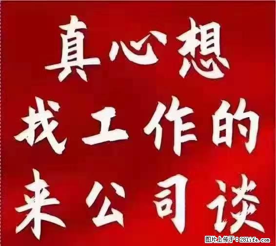 【上海】国企，医院招两名男保安，55岁以下，身高1.7米以上，无犯罪记录不良嗜好 - 职场交流 - 安阳生活社区 - 安阳28生活网 ay.28life.net