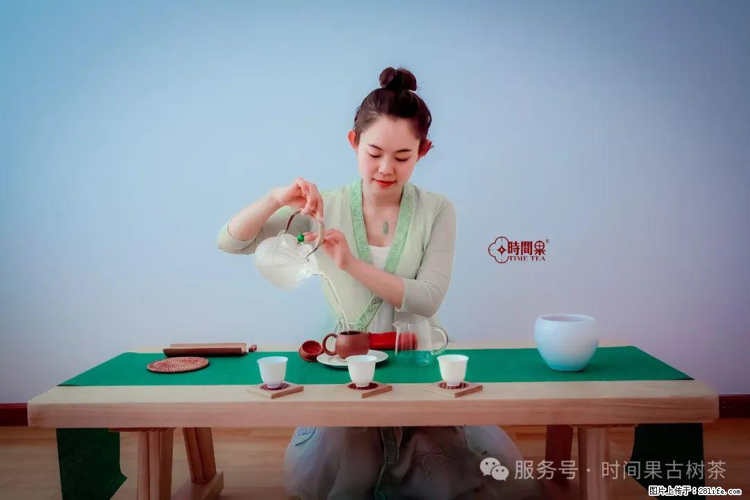 时间果百年古树龙珠普洱生茶 - 购物交流 - 安阳生活社区 - 安阳28生活网 ay.28life.net