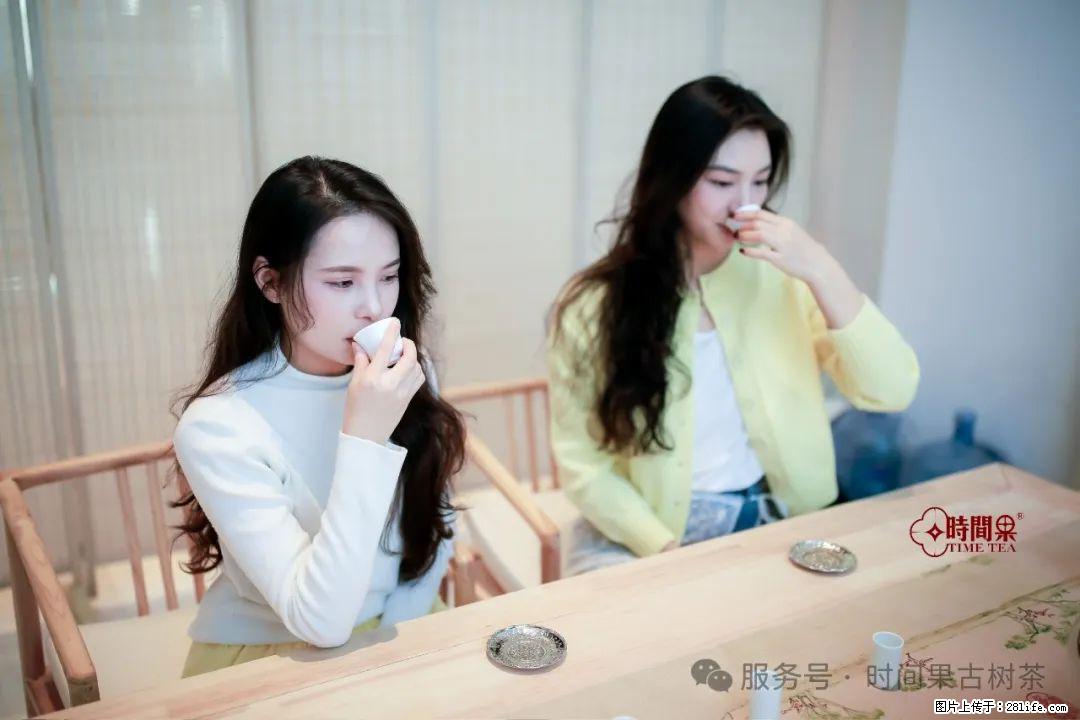 时间果百年古树龙珠普洱生茶 - 购物交流 - 安阳生活社区 - 安阳28生活网 ay.28life.net