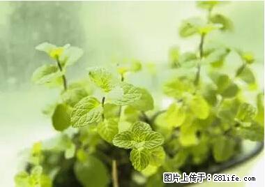 晕车、脚气、牙齿变黄、皮肤粗糙？学会这些三分钟搞定！ - 安阳生活资讯 - 安阳28生活网 ay.28life.net