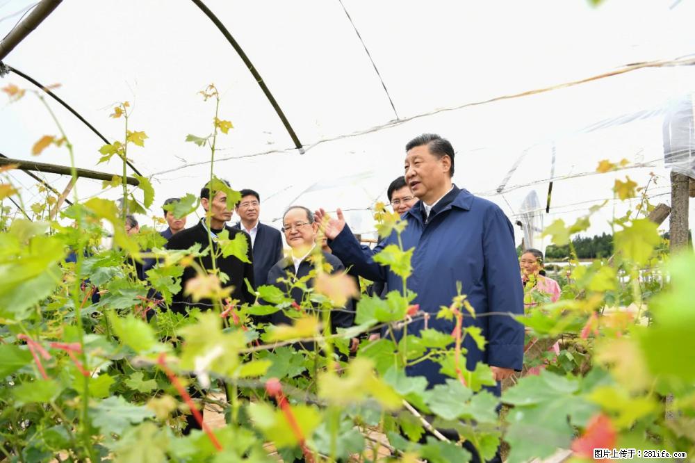 习近平赴广西考察调研 - 安阳生活资讯 - 安阳28生活网 ay.28life.net