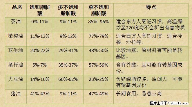 揭秘茶油的5大核心营养成分！被称为人体健康的“守护盾”！ - 安阳生活资讯 - 安阳28生活网 ay.28life.net