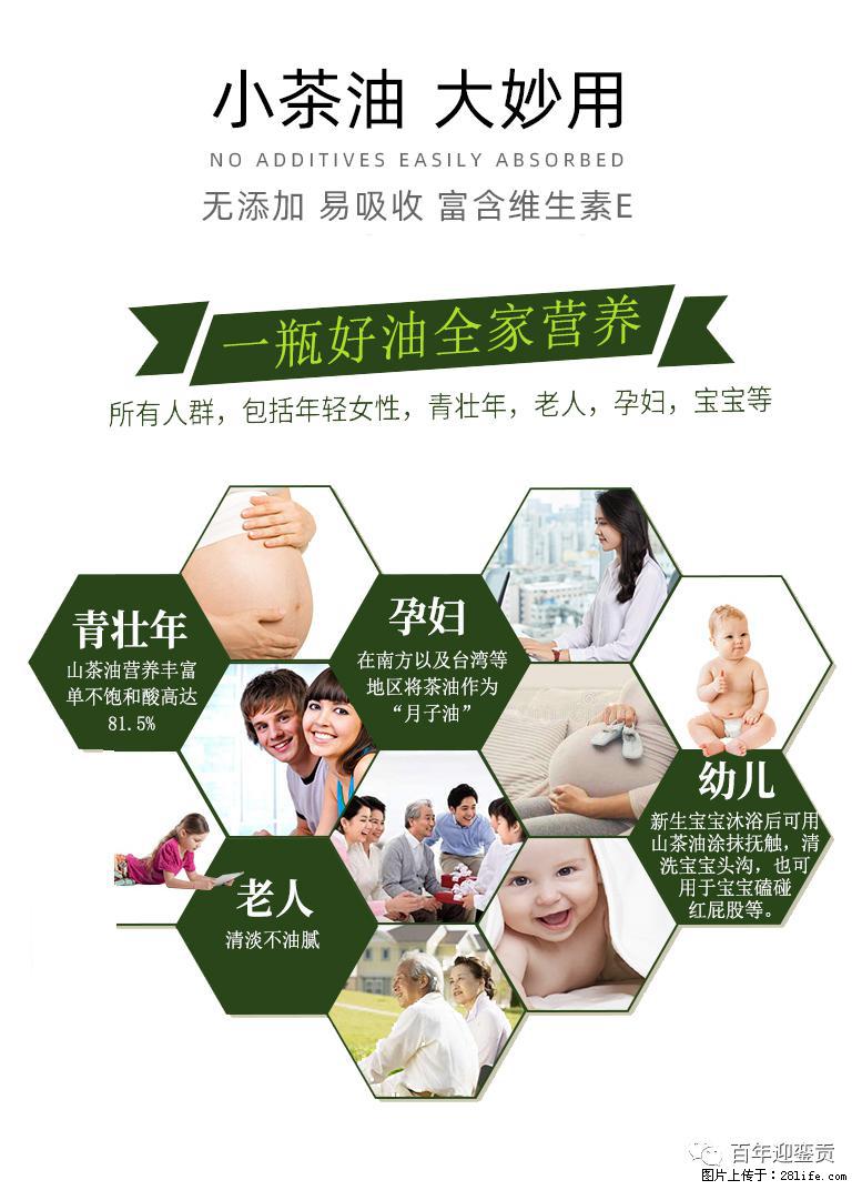世界没有真相，只有认知，最好的食用油是中国的山茶油！ - 安阳生活资讯 - 安阳28生活网 ay.28life.net