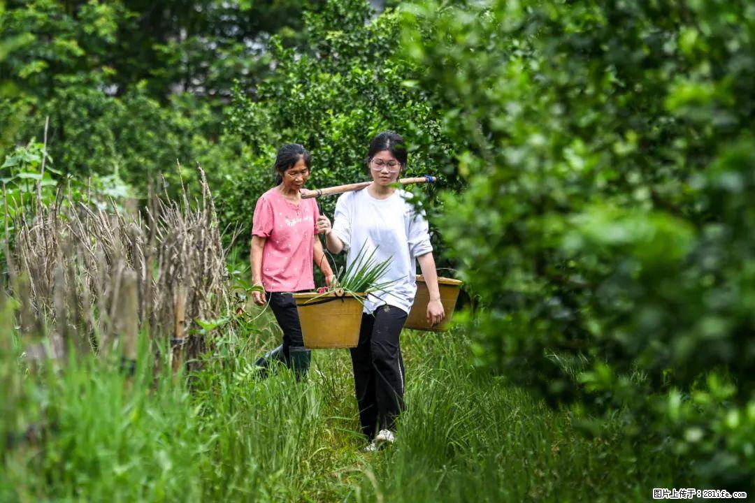 全网追的“扁担女孩”，找了一份暑假工，时薪12元 - 安阳生活资讯 - 安阳28生活网 ay.28life.net
