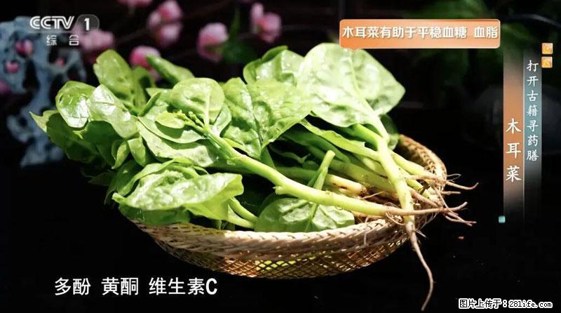 比牛奶补钙还厉害！凉血解毒、稳血糖...这菜冬天必吃，很多人却当草 - 安阳生活资讯 - 安阳28生活网 ay.28life.net