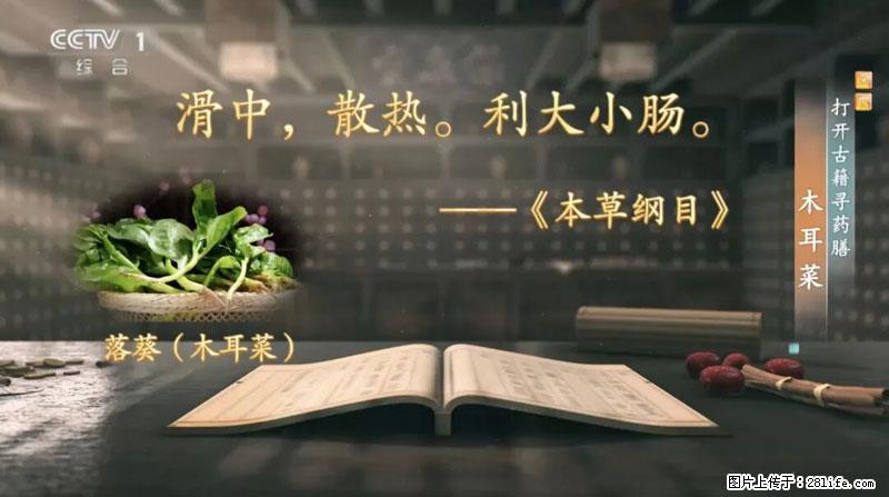 比牛奶补钙还厉害！凉血解毒、稳血糖...这菜冬天必吃，很多人却当草 - 安阳生活资讯 - 安阳28生活网 ay.28life.net