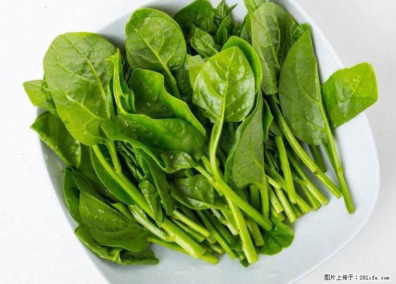 这些蔬菜是“天然钙片”，这6种被医生重点推荐 - 安阳生活资讯 - 安阳28生活网 ay.28life.net