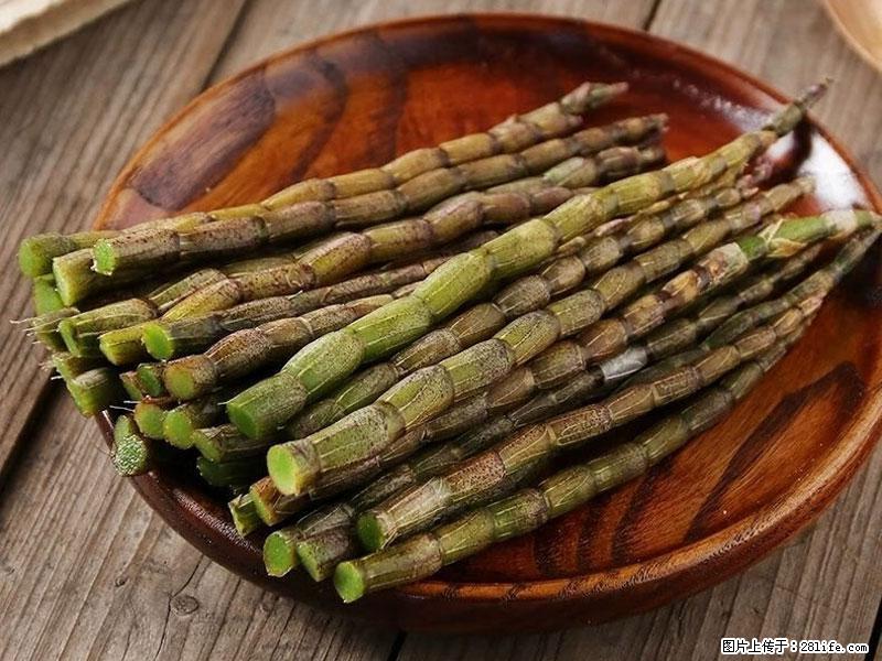 铁皮石斛的作用与功能主治 - 安阳生活资讯 - 安阳28生活网 ay.28life.net